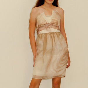 BCBGMaxAzira 100% Silk Strapless Dress Size 2 Ethereal Feminine Dainty Coquette